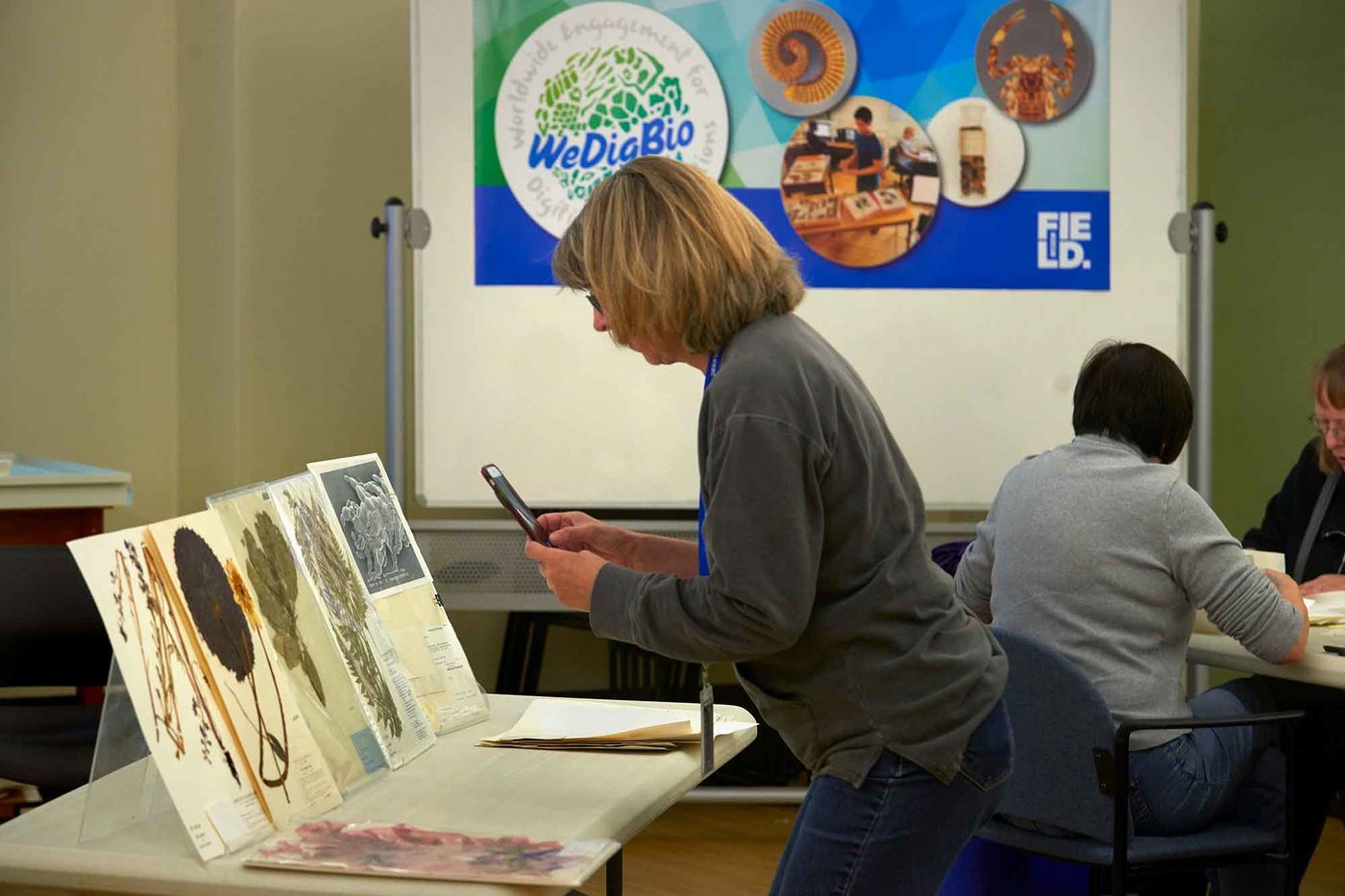In the museum or at home, participants go behind-the-scenes with our collections.