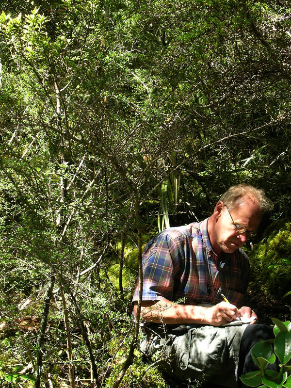 a man writing in dappled shade under green trees
