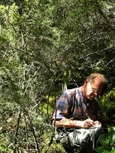 a man writing in dappled shade under green trees