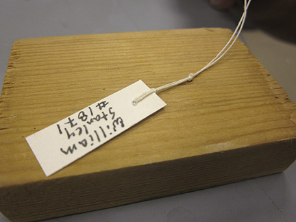 Media for Techniques for Recording Natural History Data