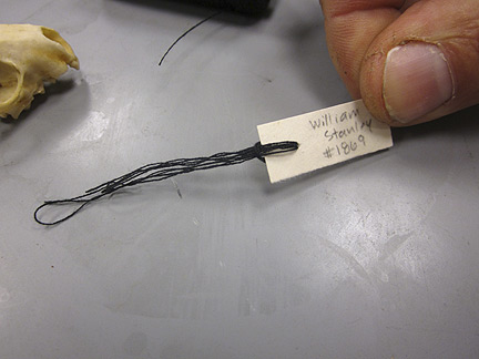 Media for Techniques for Recording Natural History Data