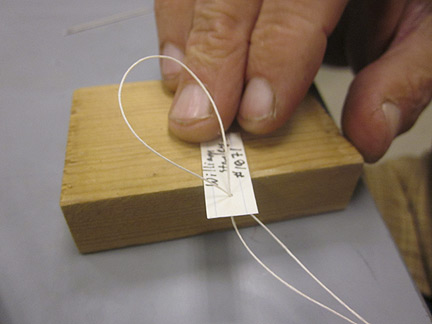 Media for Techniques for Recording Natural History Data