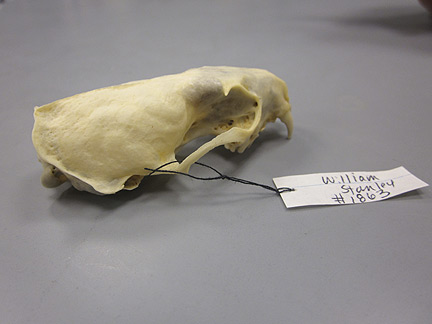 Media for Techniques for Recording Natural History Data