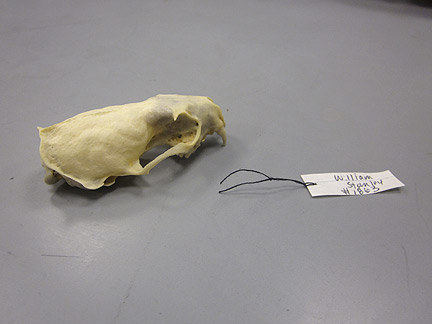 Media for Techniques for Recording Natural History Data