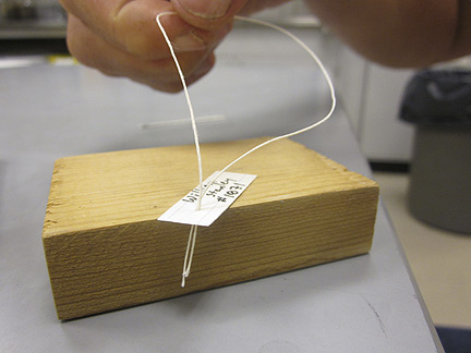 Media for Techniques for Recording Natural History Data
