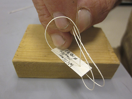 Media for Techniques for Recording Natural History Data