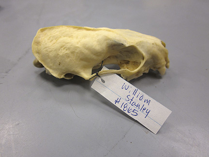 Media for Techniques for Recording Natural History Data
