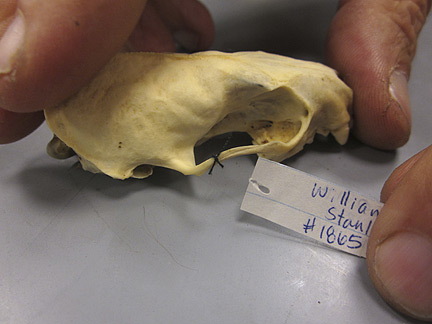 Media for Techniques for Recording Natural History Data