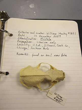 Media for Techniques for Recording Natural History Data