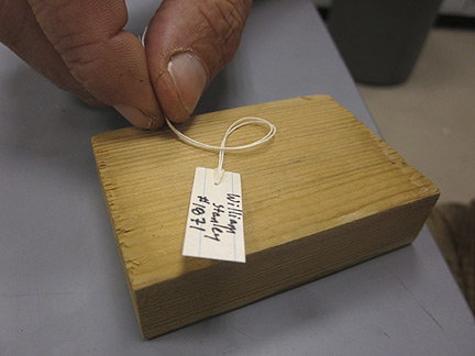 Media for Techniques for Recording Natural History Data