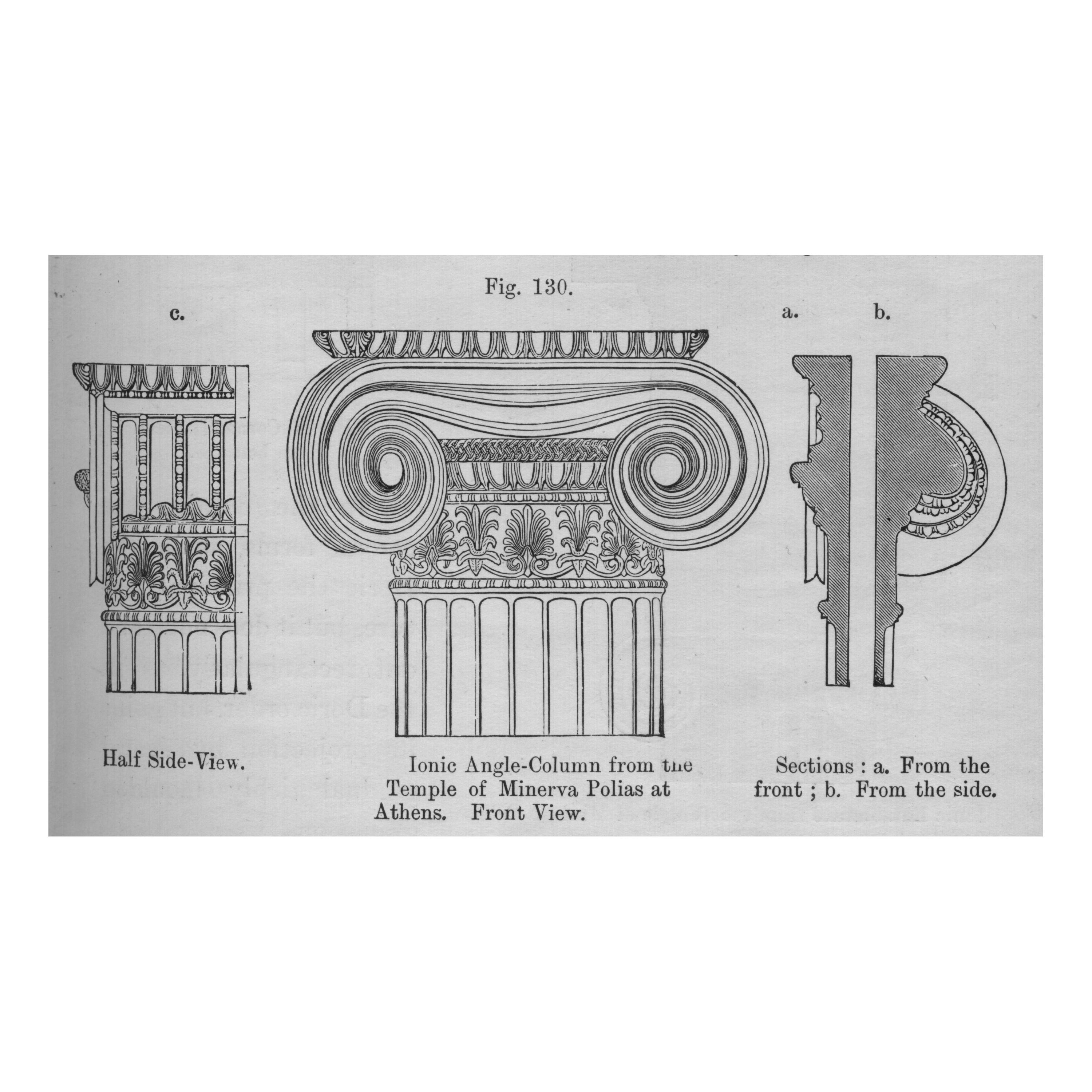 Another architectural rendering featuring an ionic column that inspired the architects of The Field Museum.