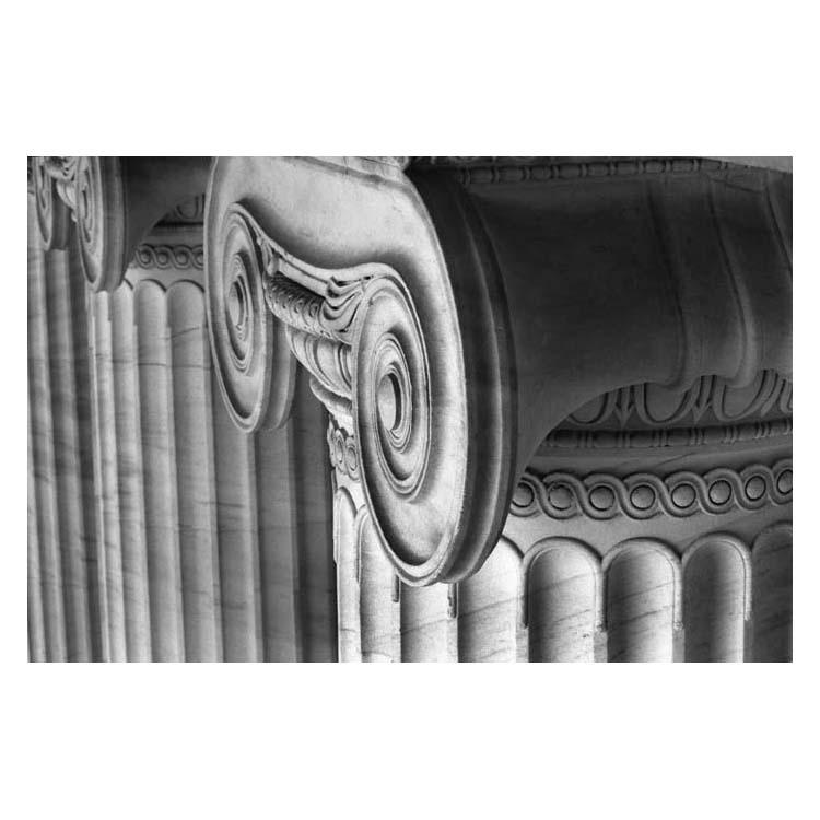 A photo of the top detail of an Ionic column at the north facade of The Field Museum.