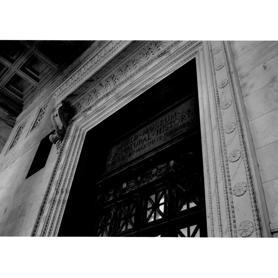 Architectural detail around an entryway at The Field Museum, featuring ornamental mouldings and cornice.