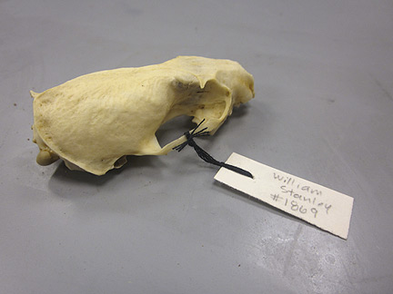 Media for Techniques for Recording Natural History Data