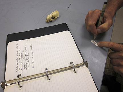 Media for Techniques for Recording Natural History Data