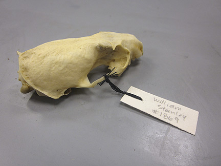 Media for Techniques for Recording Natural History Data