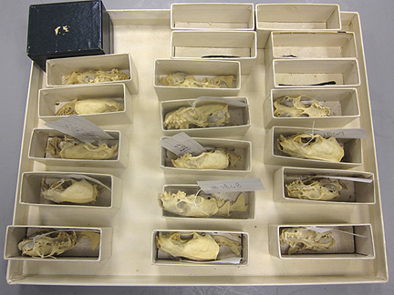 Media for Techniques for Recording Natural History Data
