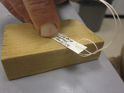Media for Techniques for Recording Natural History Data