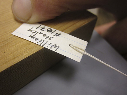 Media for Techniques for Recording Natural History Data