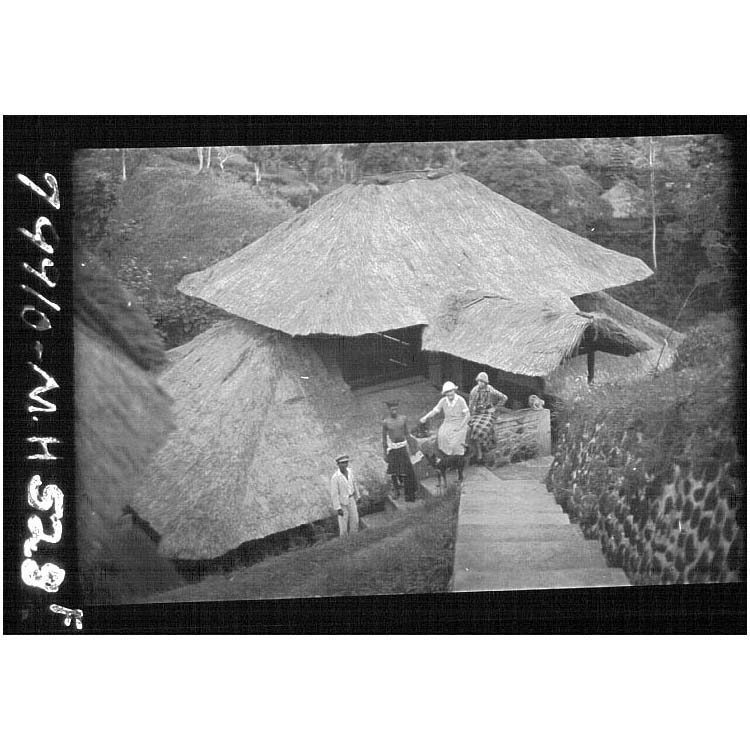 Media for Malvina Hoffman's Expedition