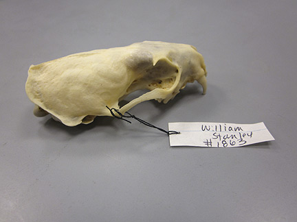 Media for Techniques for Recording Natural History Data
