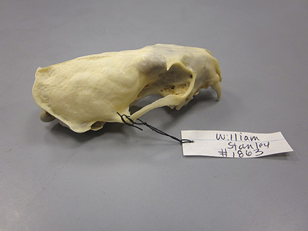 Media for Techniques for Recording Natural History Data