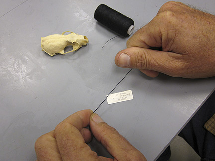 Media for Techniques for Recording Natural History Data