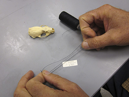 Media for Techniques for Recording Natural History Data