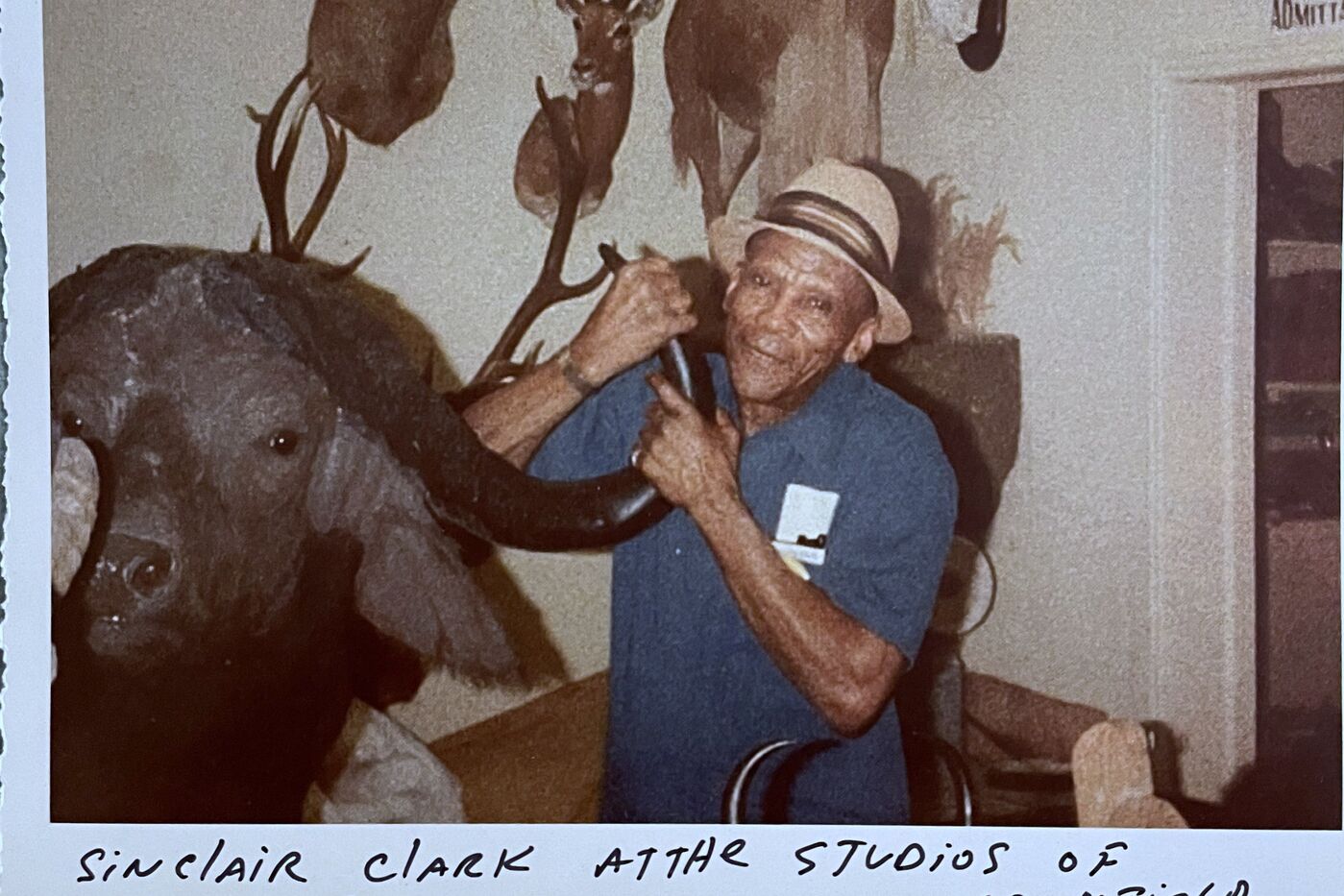 A man wearing a hat and blue shirt holds the horn of a taxidermy water buffalo. 
