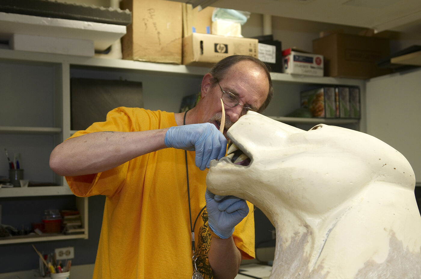 A man using tools works on a taxidermy model in the museum.