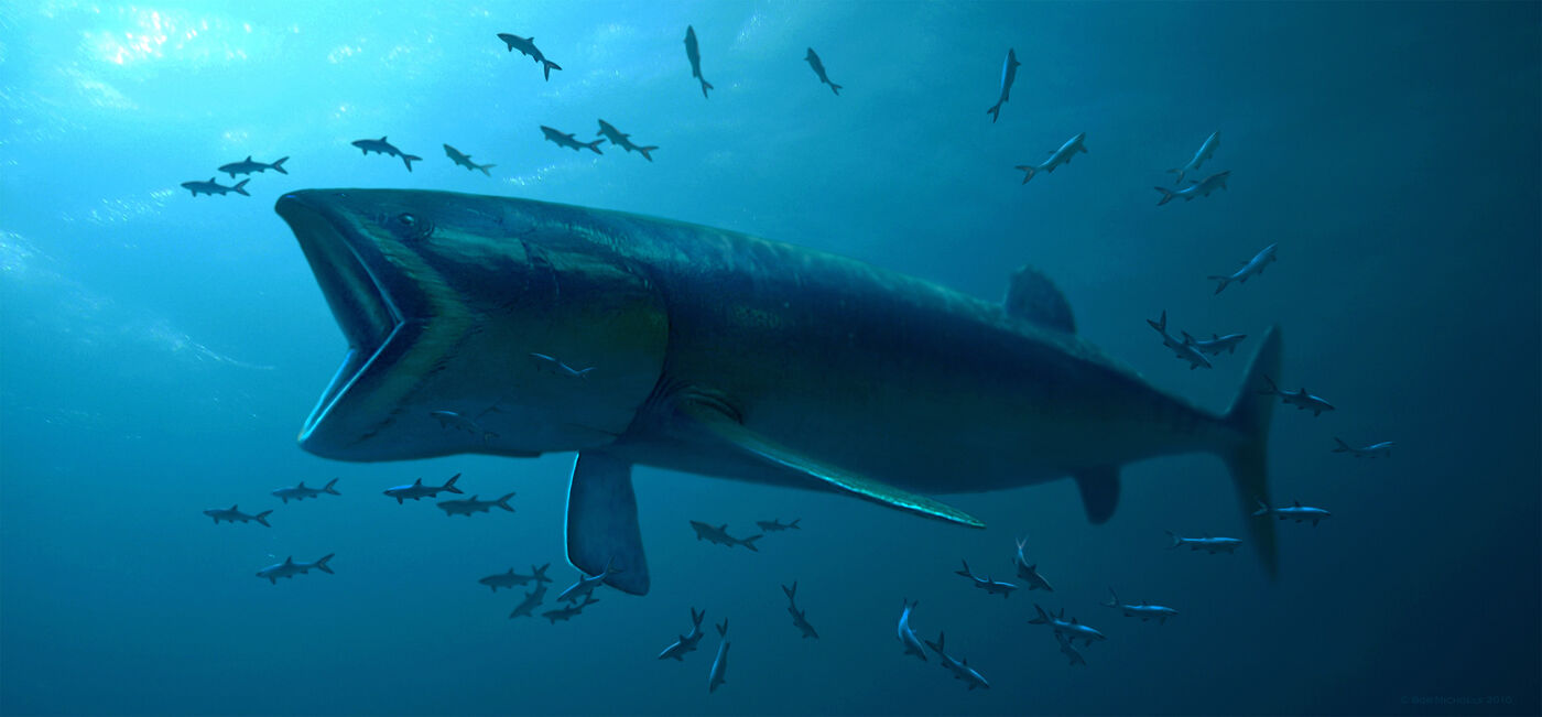 An artist’s illustration of a huge fish swimming with mouth open as several smaller fish swim around.