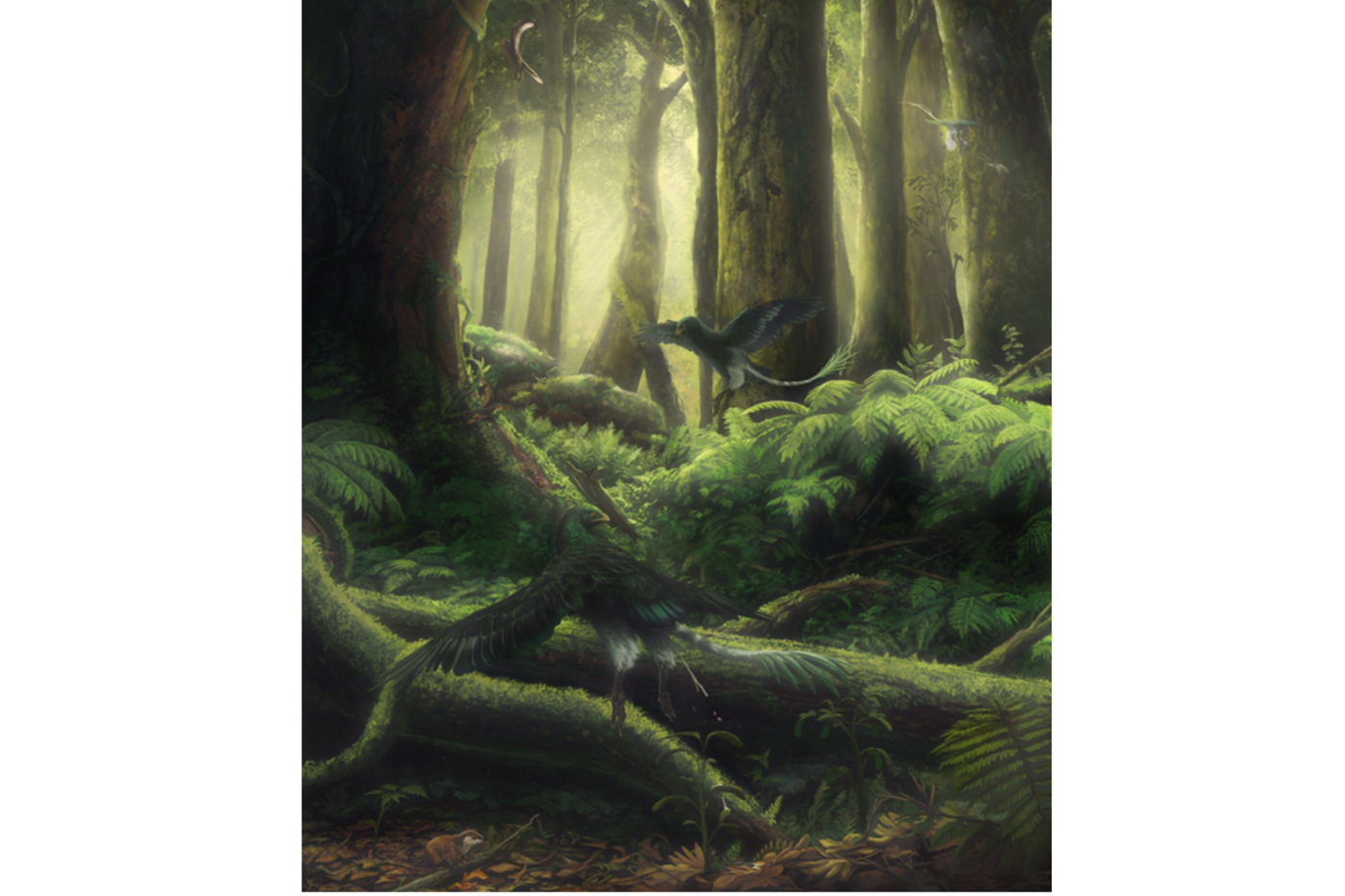 An artists' rendering of a Jeholornis bird in a Cretaceous forest, pooping out seeds.