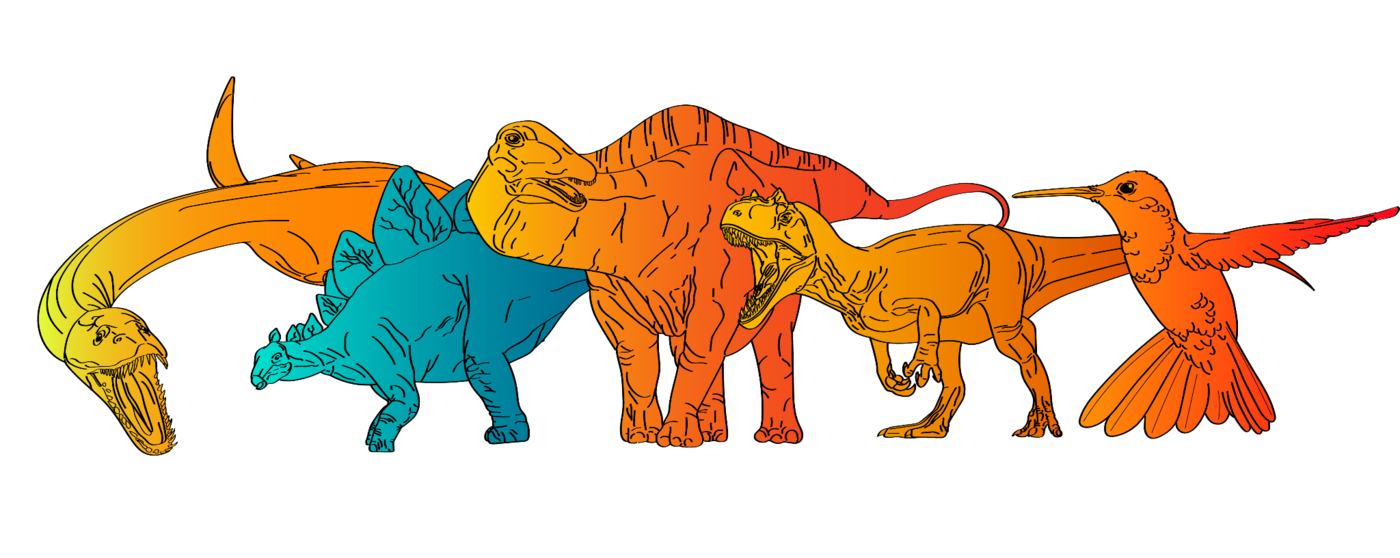 A color-coded drawing of the animals that were investigated as part of the study in a row, with warm-blooded animals in orange and cold-blooded in blue. From left to right: Plesiosaurus, orange; Stegosaurus, blue; Diplodocus, orange; Allosaurus, orange; Calypte (modern hummingbird), orange.