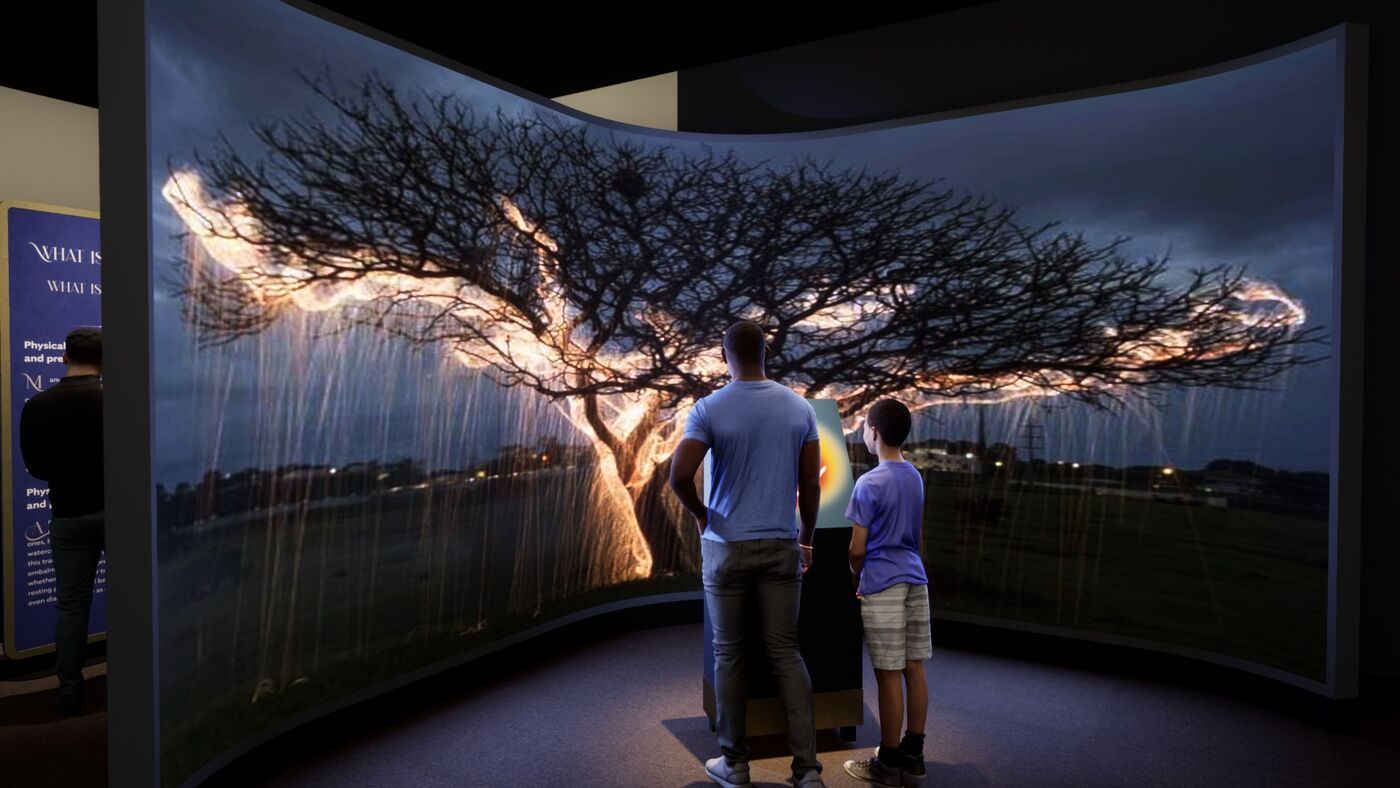 A man and a boy stand in front of a large, interactive, curved screen inside a museum exhibition. On the screen is a leafless tree, appearing to be lit up with electricity from the bottom up.