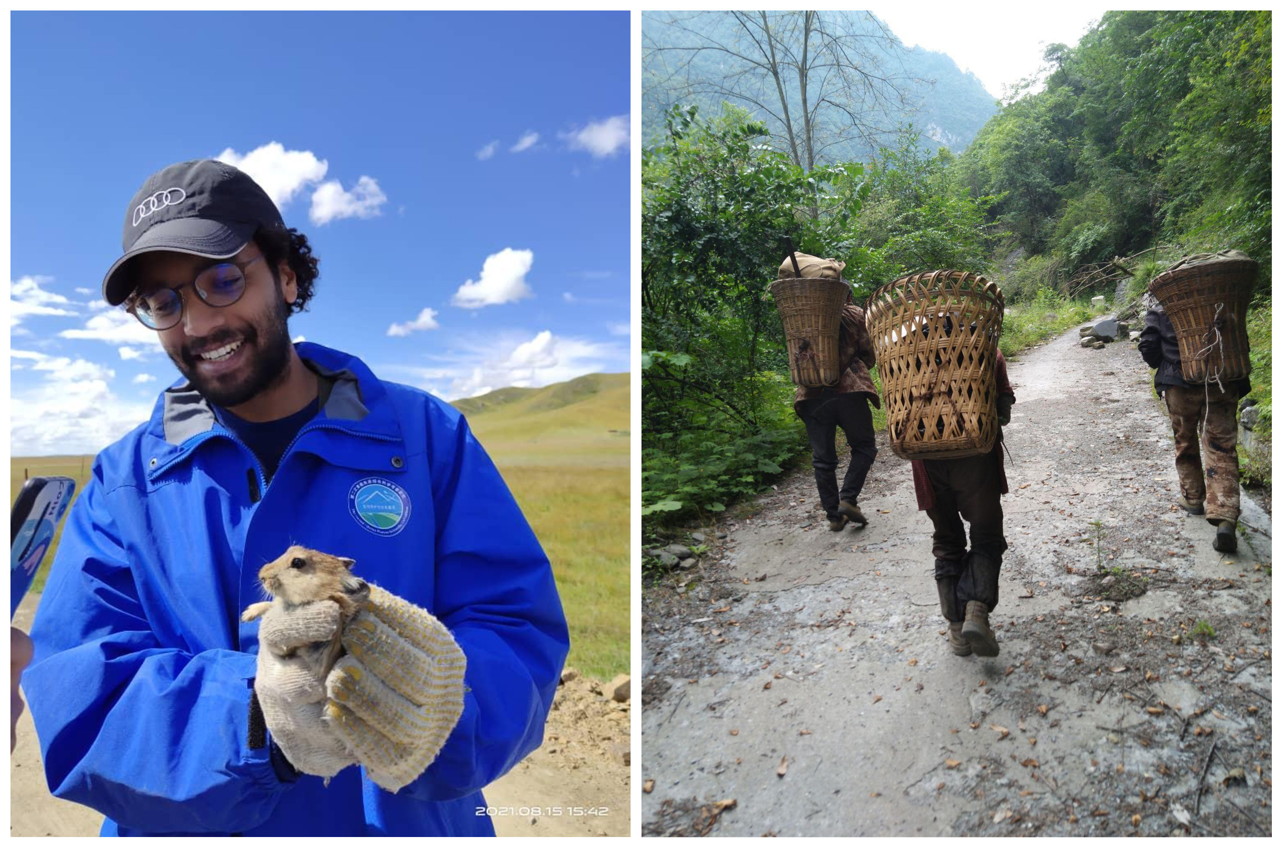 Left: A man wearing a blue jacket and hat is holding a small tan rodent in his gloved hands.
