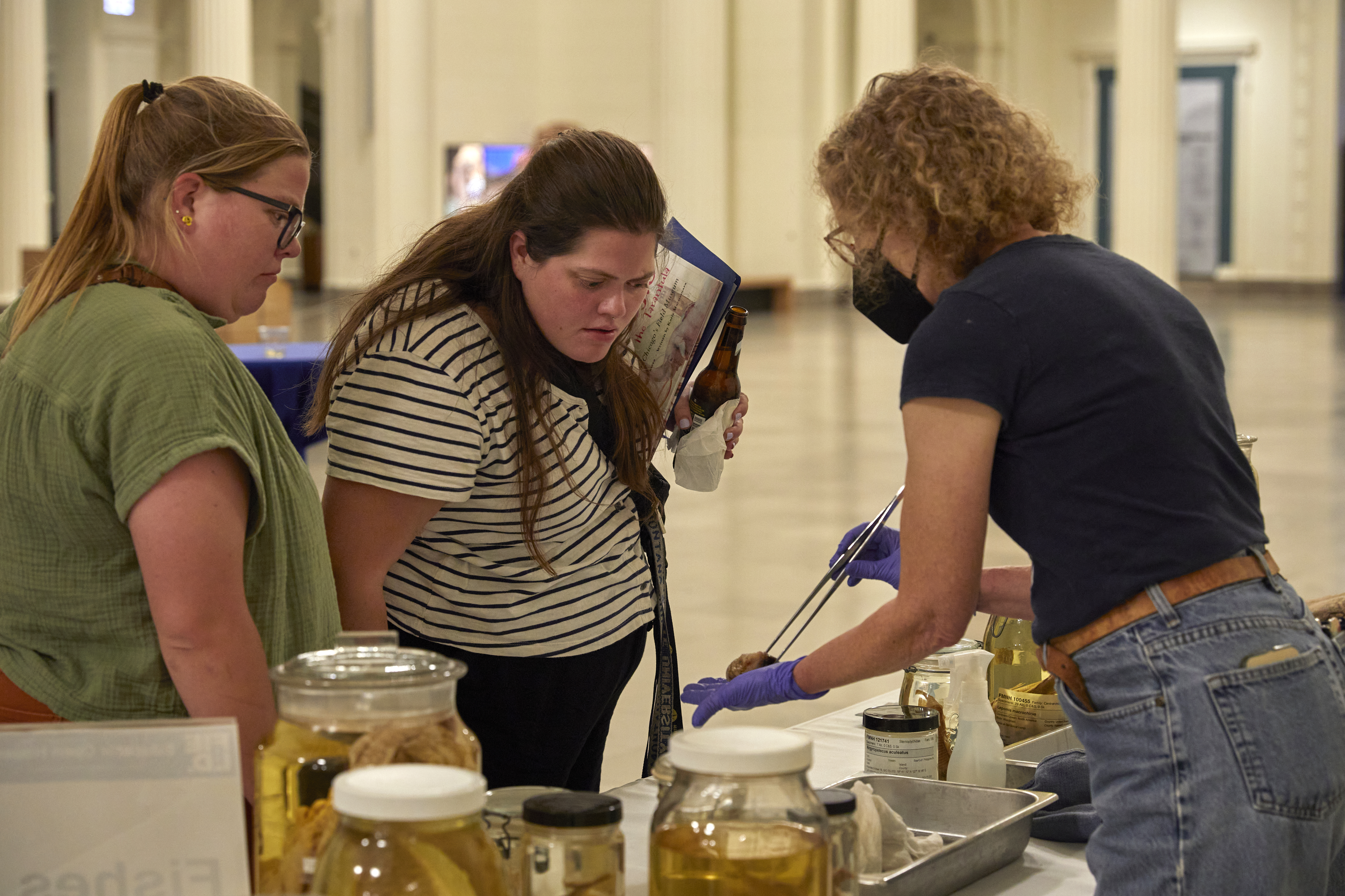 two women looking down at a museum specimen that another woman is holding in a pair of tongs