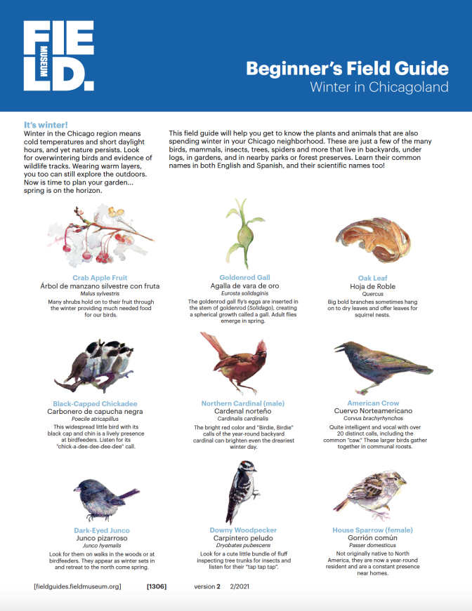 first page of Beginner's Field Guide