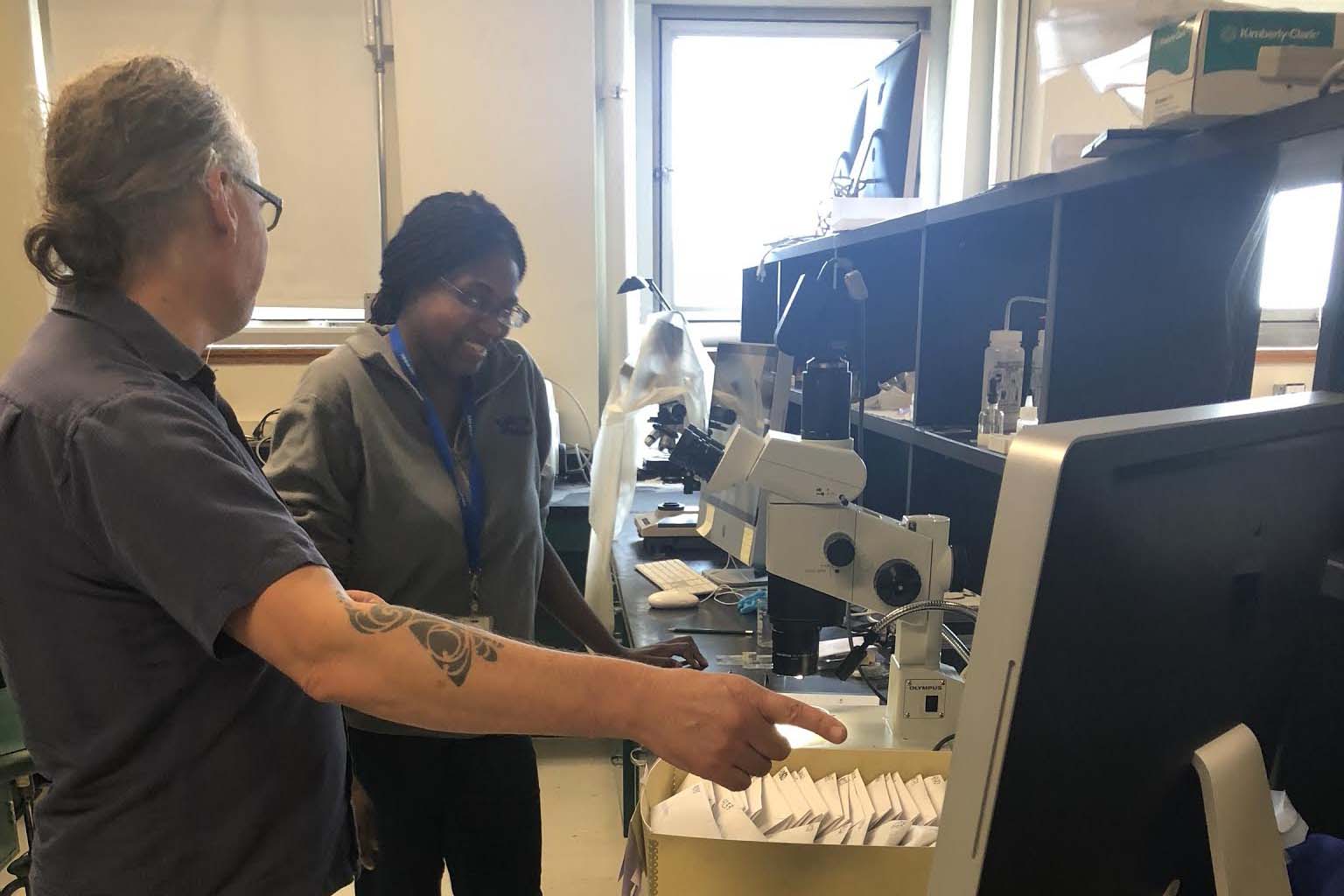 A man and a young woman work together in a laboratory.
