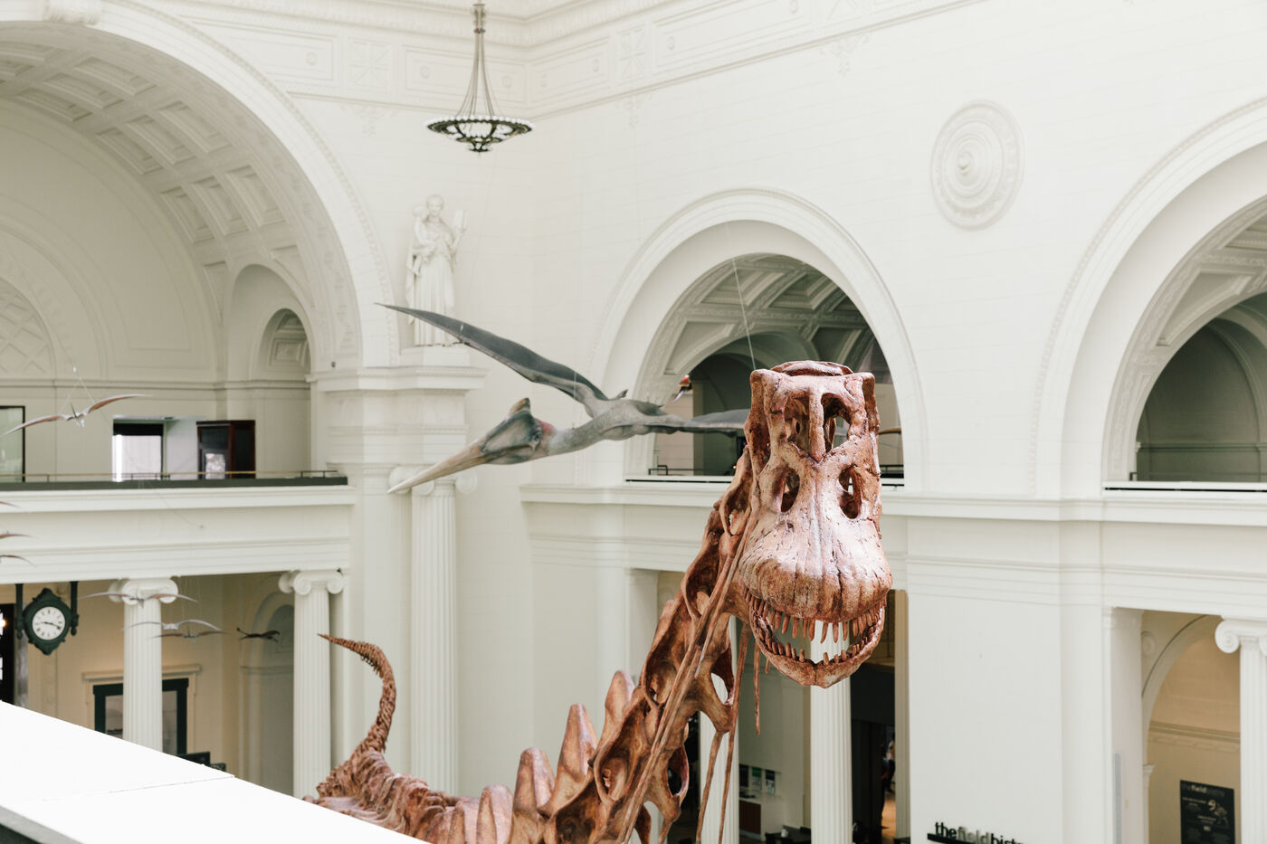 a Member With A Special Offer Field Museum