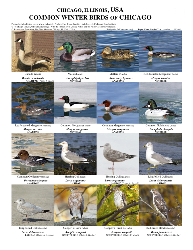 first page of field guide 723