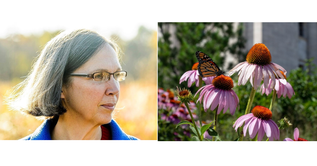 On the left, a woman looks over her left shoulder. On the right, a monach butterfly sits on one of several large purple coneflowers in an outdoor garden