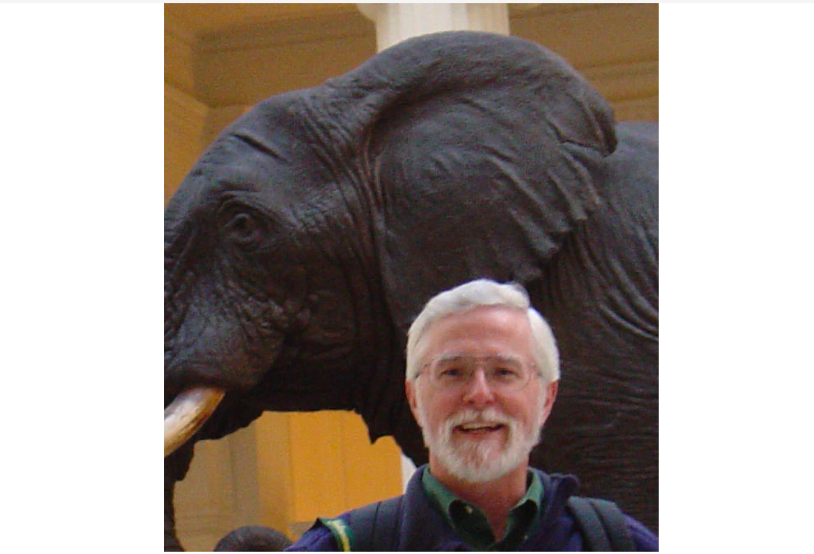 a man in front of a taxidermy elephant