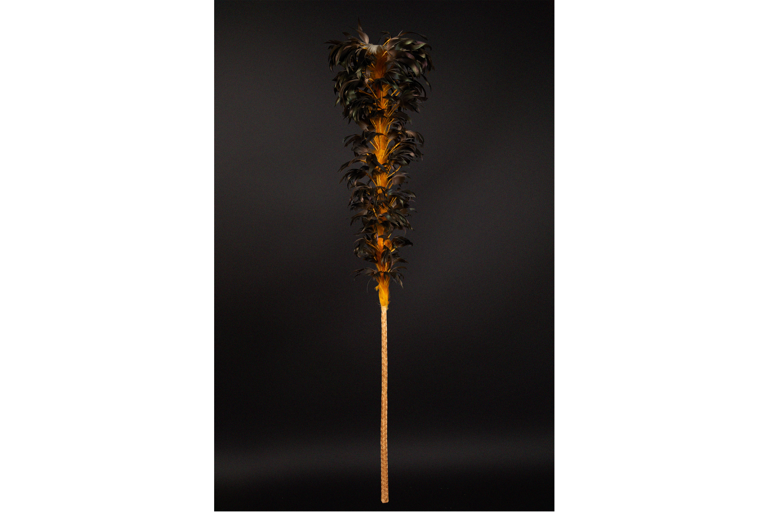 A long staff with a cluster of feathers on the top end, called kahili.