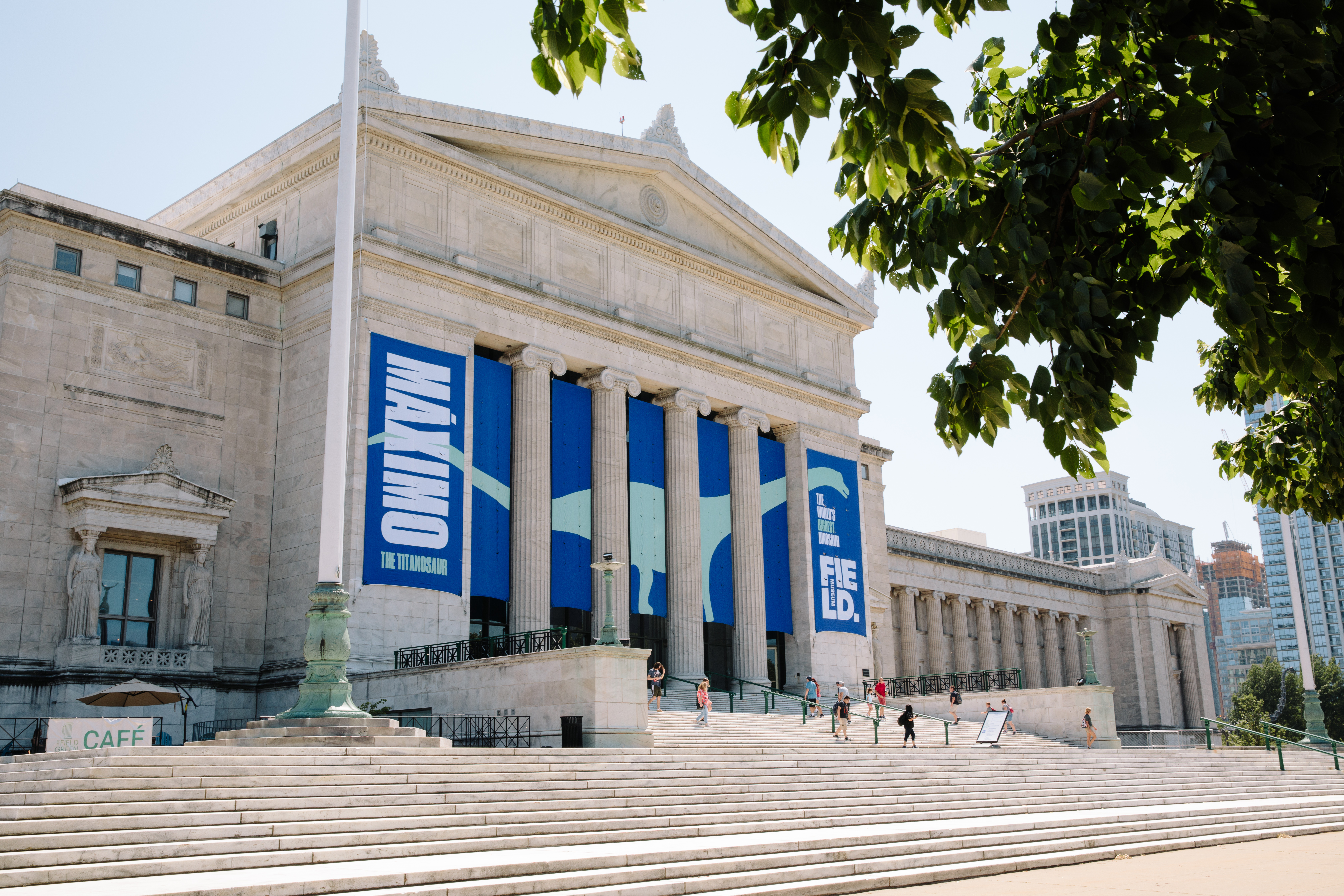 North entrance of the Field Museum. Large classical building with columns and blue banners featuring a dinosaur.