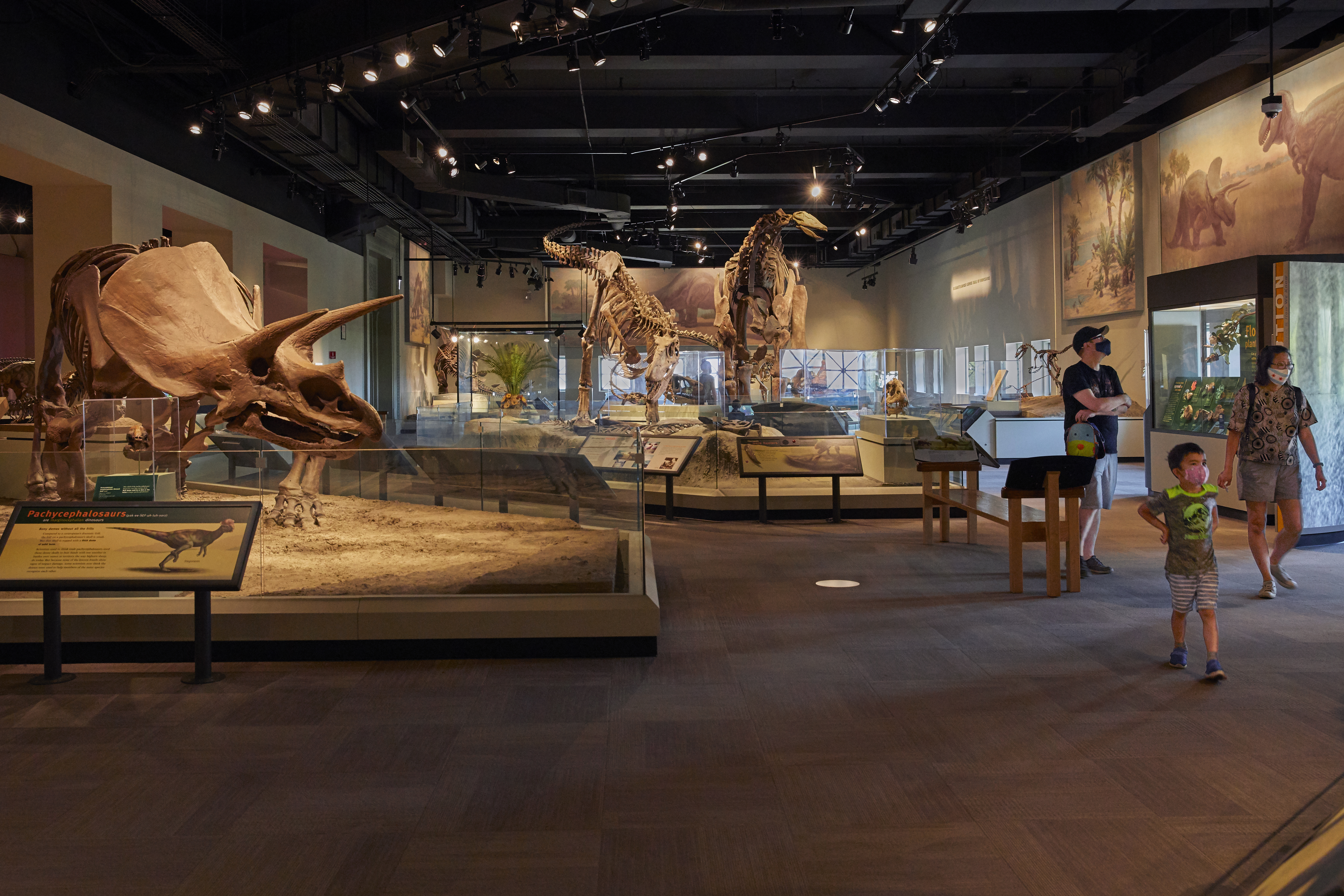 Dinosaur fossils in an exhibitions hall, with three guests walking through