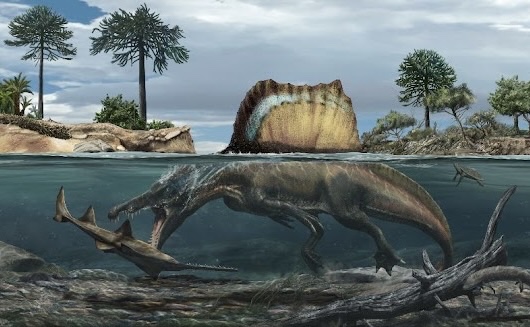 an illustration of a spinosaurus as it may have appeared in life, hunting underwater, open mouth about to grab a smaller fish-like creature