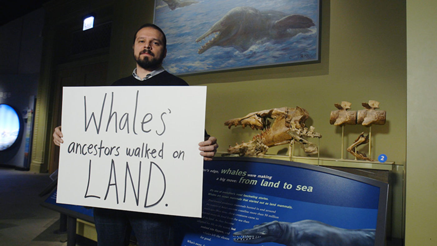 Man holding handwritten sign, standing in front of a museum display with a large animal skull and a painting of a whale-like animal with large teeth