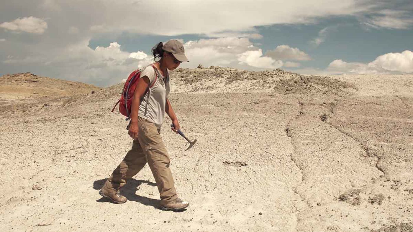 A woman with a hammer walking across the desert in front of a blue sky