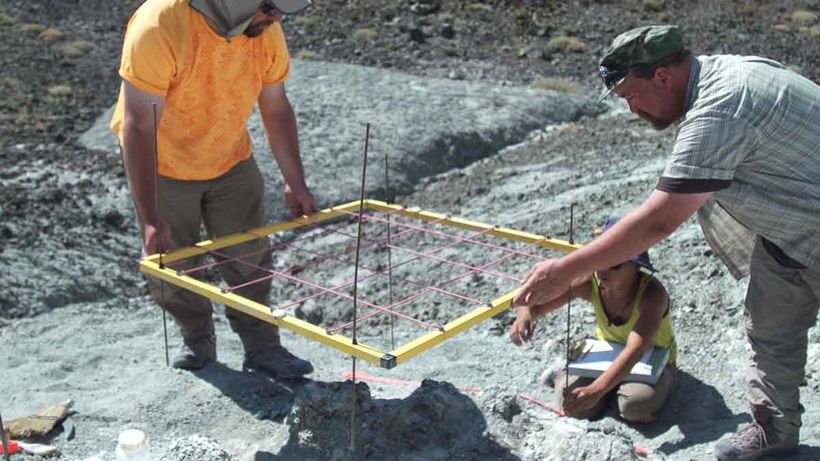 Three people carefully position a metal grid over a fossil dig site