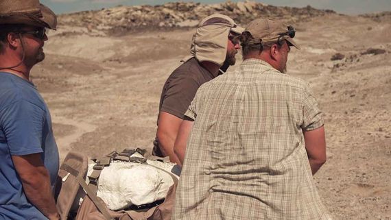 Three people carry a fossil covered in plaster that is buckled onto a makeshift stretcher